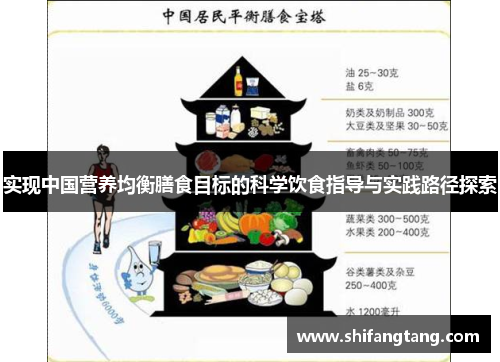 实现中国营养均衡膳食目标的科学饮食指导与实践路径探索