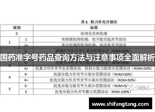 国药准字号药品查询方法与注意事项全面解析
